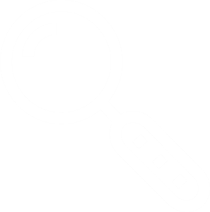 Microsoft Dynamics 365 Customer Insights